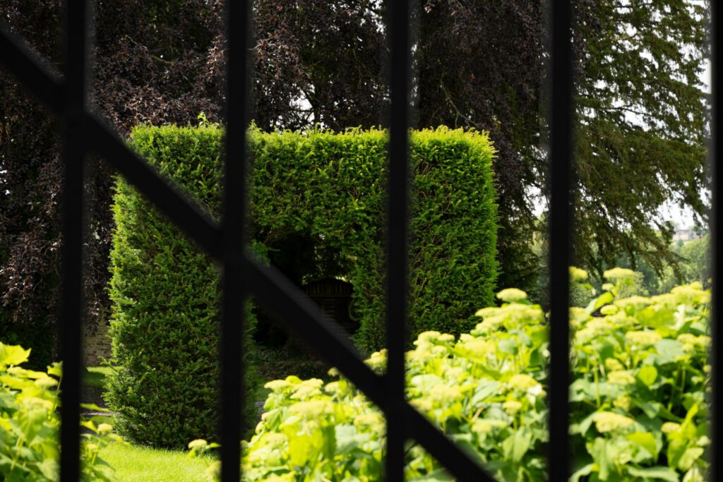 Haie taillée en arche vue à travers une grille en fer forgé