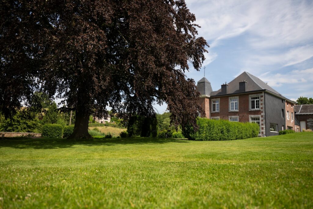 Grande pelouse entretenue devant un manoir et un hêtre pourpre