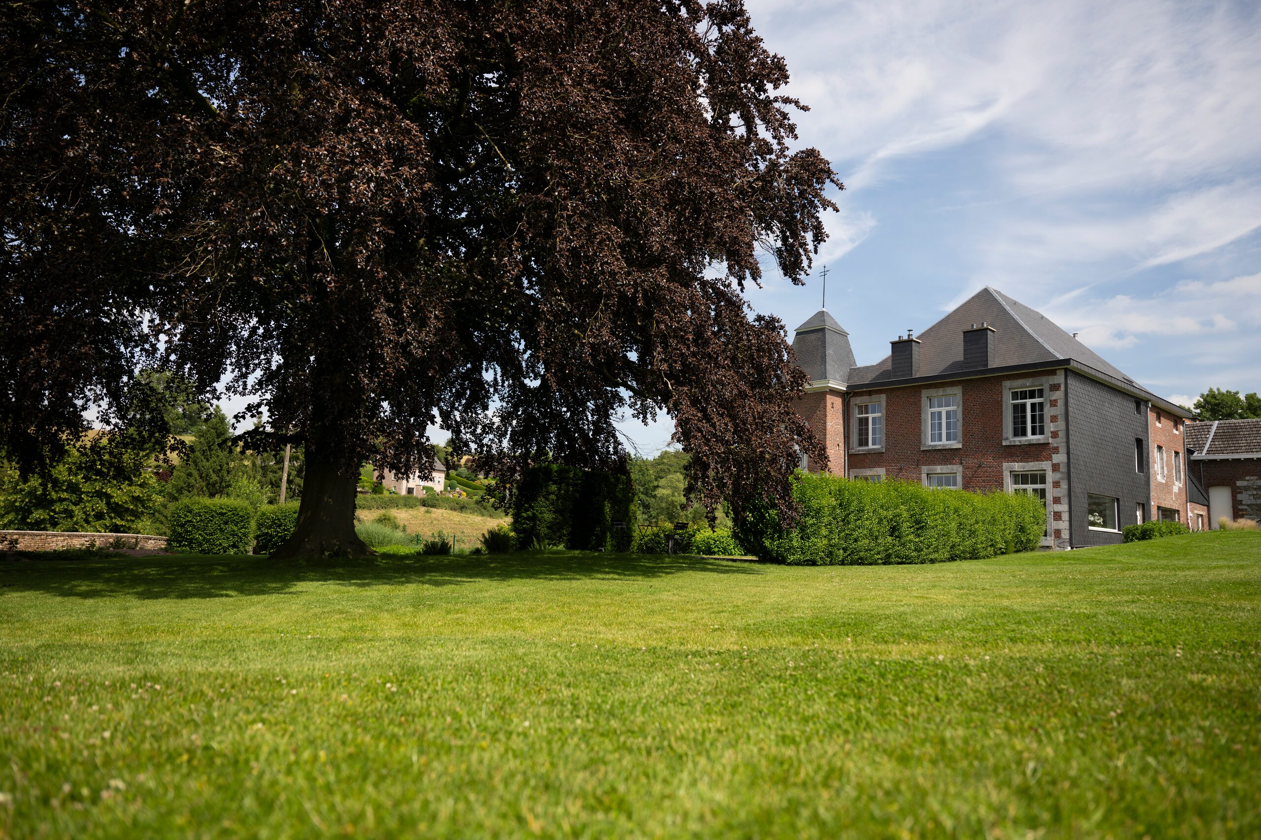 Grande pelouse entretenue devant un manoir et un hêtre pourpre